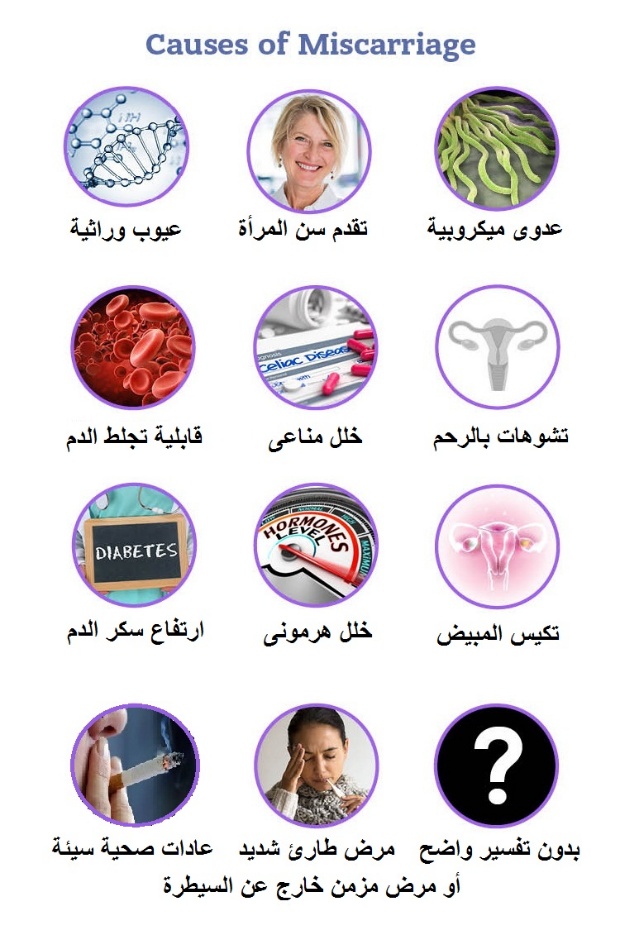 C:\Users\DR. Sherif\Desktop\corrected leaflets\الإجهاض\6 أسباب الإجهاض.jpg